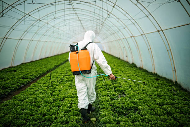 Best Affordable Pest Control Services  in Manteo, NC