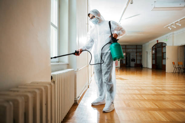Reliable Manteo, NC Pest Control Solutions